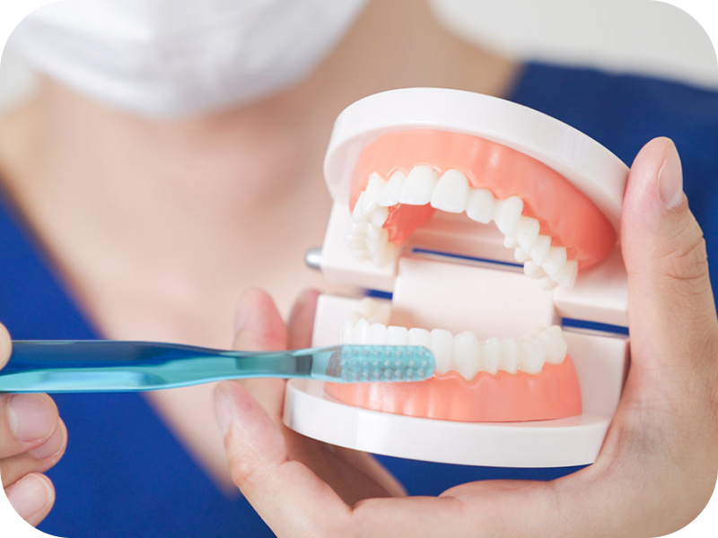 ブラッシング指導